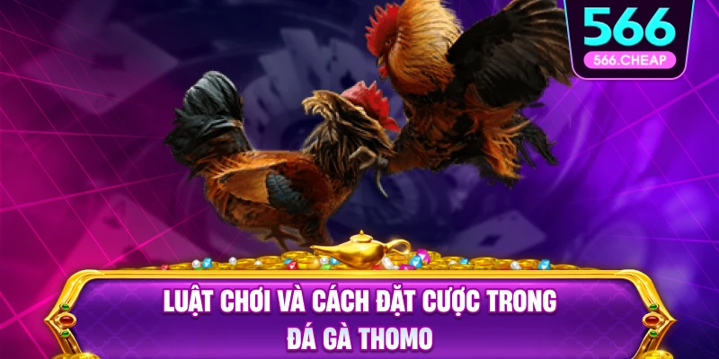 Các Quy Tắc Thi Đấu