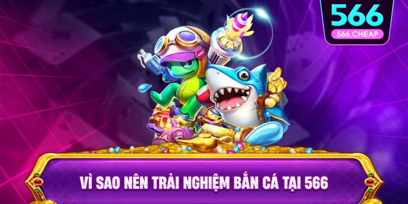 Trải Nghiệm Giải Trí Thú Vị